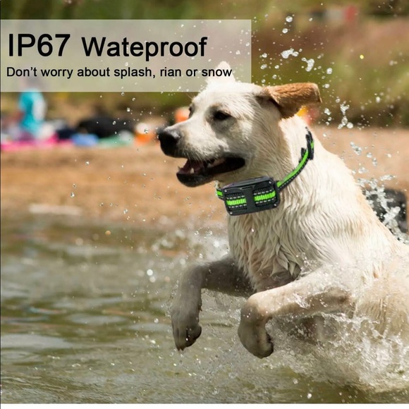 Anti-bark training dog collar - Picture 4 of 4